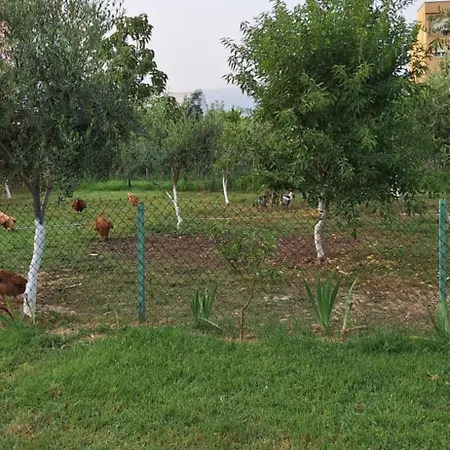 Willa House Of Figs And Olives التين والزيتون