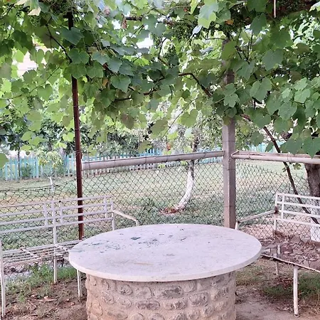 House Of Figs And Olives التين والزيتون Vila